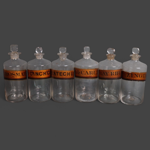 3012 - A group of six apothecary bottles, each with stopper, all have gold gilt period labelling, height 19... 