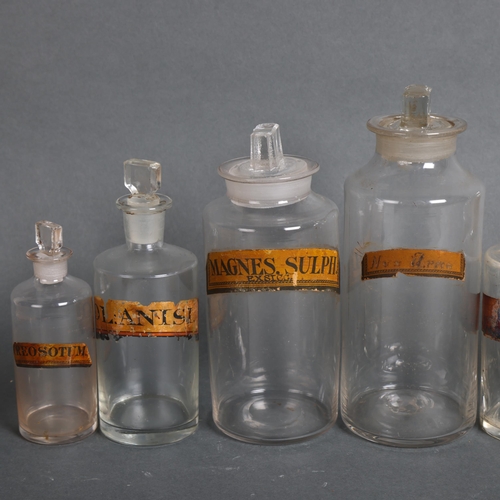 3022 - A group of six clear glass apothecary bottles, each with stopper, all have gold gilt period labels, ... 