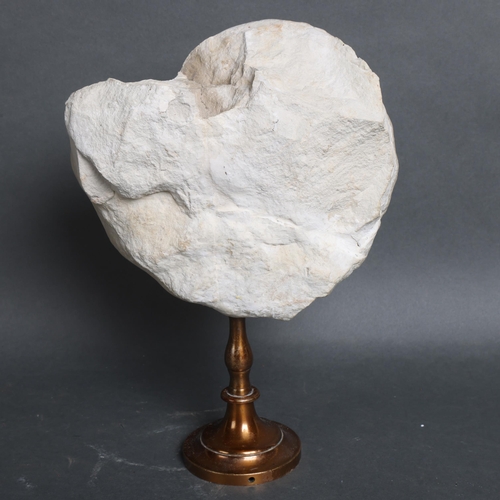 3082 - Natural History : A nicely shaped, unpolished ammonite specimen, suspended on a brass stand, overall... 