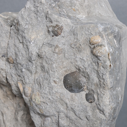 3084 - WITHDRAWN - Natural History : A nicely preserved dinosaur foot fossil specimen, approximately 28cm x... 