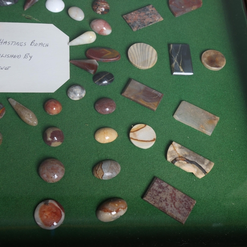 3089 - Natural History : A framed glazed display of pebbles taken from Hastings beach, cut and polished by ... 