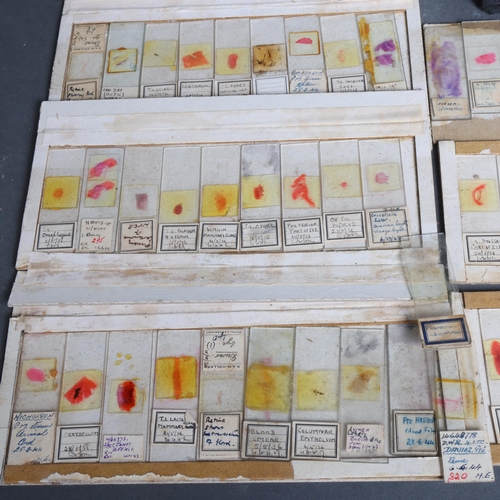 3115 - Natural History : A selection of microscopic slides, including various human biology related, such a... 