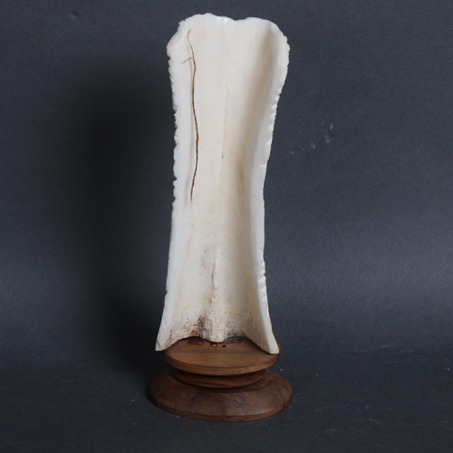 3140 - Hand carved buffalo bone on wood plinth depicting 5 horse heads; a wolf head and wings