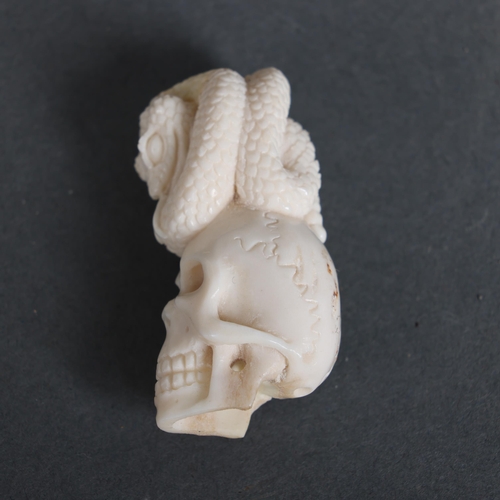 3148 - Curiosity / Macabre: Hand-carved Deer Antler Skull with coiled snake on top