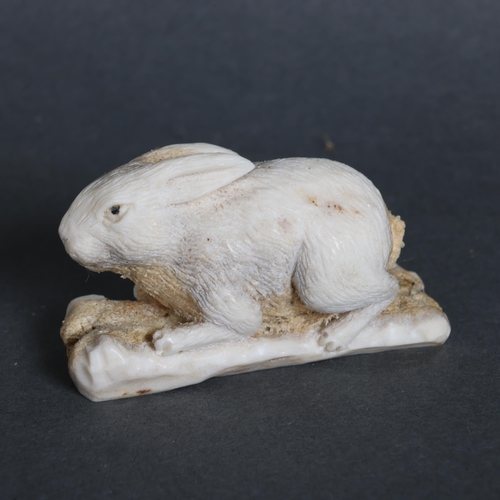 3150 - Hand Carved antler in the form of a lucky rabbit