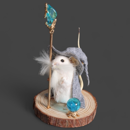 2999 - Taxidermy Wizard Mouse. An anthropomorphic full mount taxidermy mouse, mounted upright on a slice of... 