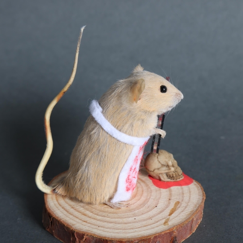 2996 - Taxidermy Mouse holding cleaver. An anthropomorphic full mount taxidermy mouse, mounted upright on a... 