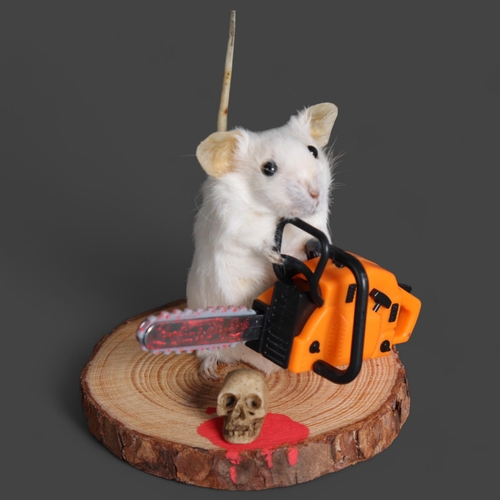 2997 - Taxidermy Mouse wielding a chainsaw 
An anthropomorphic full mount taxidermy mouse, mounted upright ... 