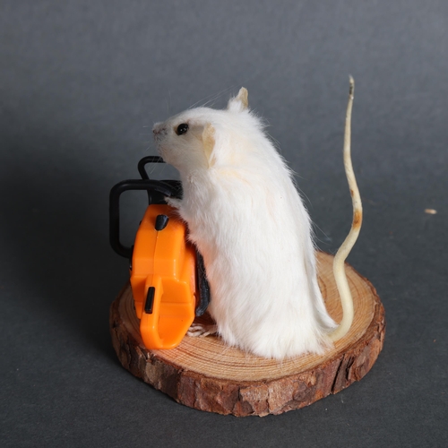 2997 - Taxidermy Mouse wielding a chainsaw 
An anthropomorphic full mount taxidermy mouse, mounted upright ... 