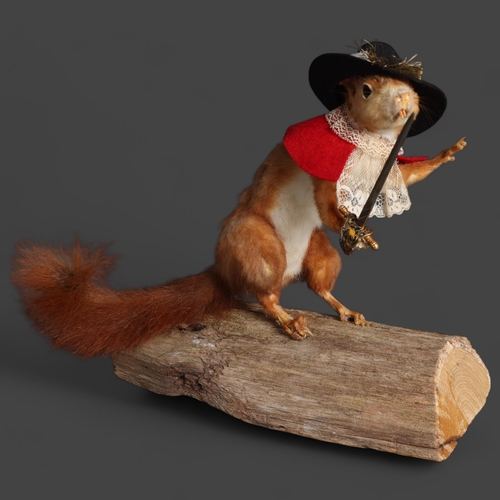 3368 - Taxidermy : an antique full mount study of a Red Squirrel, mounted on later wooden log plinth, adorn... 