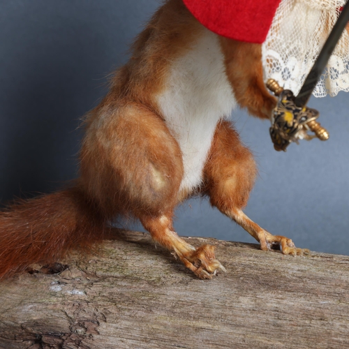 3368 - Taxidermy : an antique full mount study of a Red Squirrel, mounted on later wooden log plinth, adorn... 