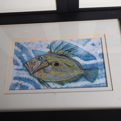 3383 - Clive Fredriksson - a pair small oils, study of Koi carp, signed, framed, and one other, (3).