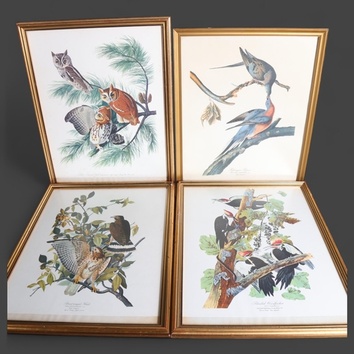 3384 - Natural History : A collection of framed ornithological prints, various birds, (10).