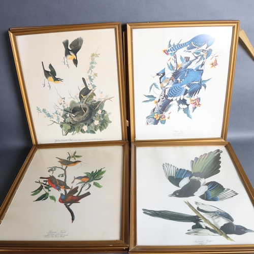 3384 - Natural History : A collection of framed ornithological prints, various birds, (10).