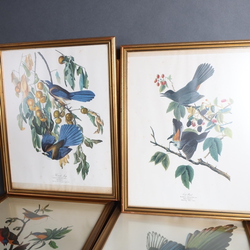 3384 - Natural History : A collection of framed ornithological prints, various birds, (10).