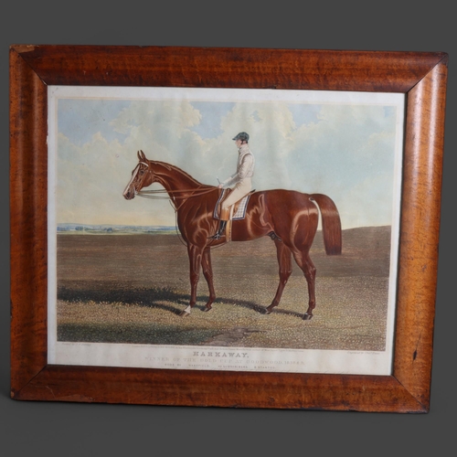 3405 - A 19th century coloured engraving by Charles Hunt, 'Harkaway', period maple frame, glazed, overall 4... 