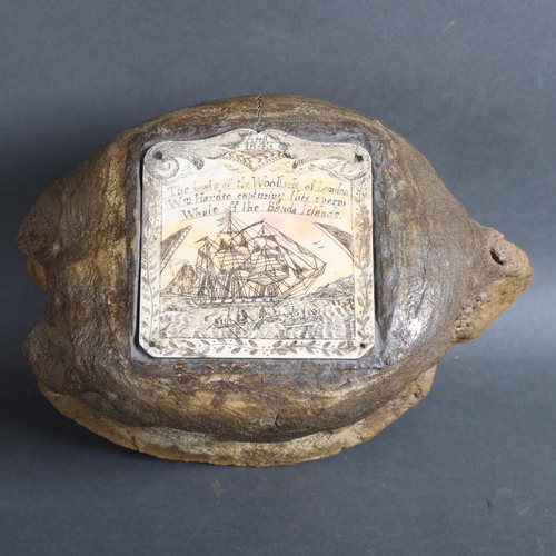 3423 - WITHDRAWN - Natural History : a Whale bone vertebrae with a scrimshaw panel in the top, 'The boats o... 