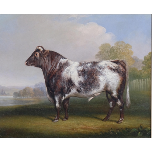 Charles Dickinson Langley (1799 - 1873), Prize Bull, oil on board, 25cm x 32cm, framed