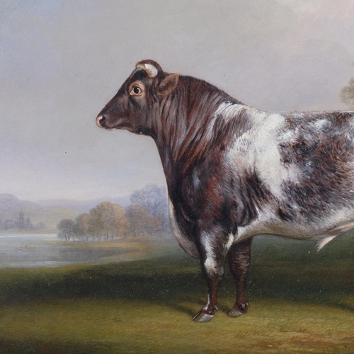 211 - Charles Dickinson Langley (1799 - 1873), Prize Bull, oil on board, 25cm x 32cm, framed