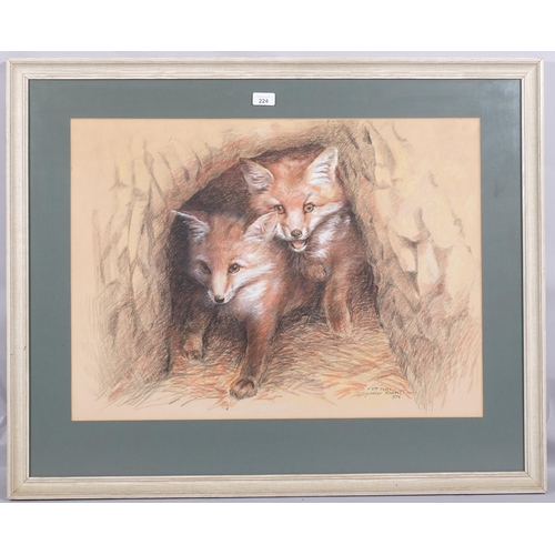 224 - Arthur Spencer Roberts (1920 - 1997), foxes, coloured pastels, dated 1972, 51cm x 71cm, framed and g... 