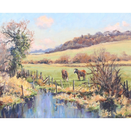 248 - Mervyn Goode (born 1948), ponies beside downland brook, oil on canvas, 25cm x 35cm, framed