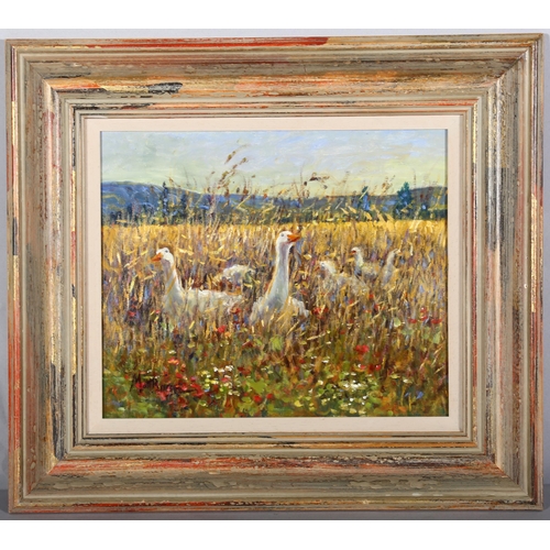 254 - Matt Bruce, geese in corn field, oil on board, 25cm x 30cm, framed