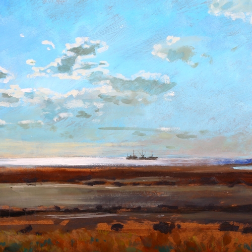 256 - Contemporary coastal landscape with distant ship, oil on board, unsigned, 59cm x 72cm, framed