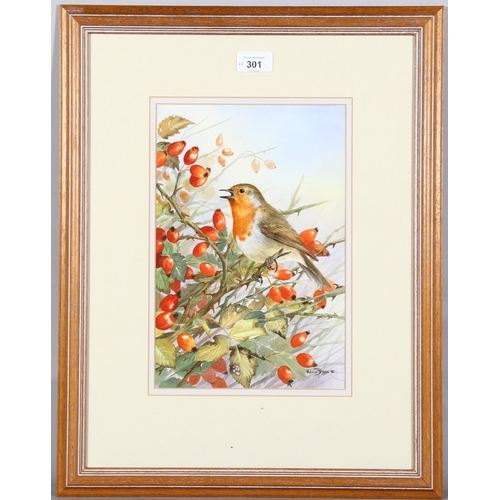 301 - 2 watercolours of robins, by Valerie Briggs and David Koster, both signed, largest 58cm x 39cm, 1 fr... 