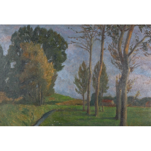 322 - Early 20th century European School impressionist landscape, indistinctly signed, 34cm x 23cm, framed