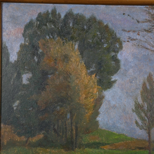 322 - Early 20th century European School impressionist landscape, indistinctly signed, 34cm x 23cm, framed