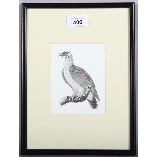 406 - Thomas Bewick (1753-1828), wood engraving on paper, Bearded Vulture (1800), 11cm x 8cm, mounted, gla... 