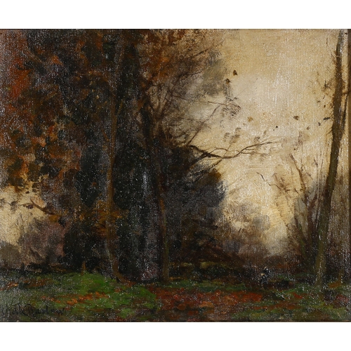 418 - John Noble Barlow (1861 - 1917), impressionist woodland scene, oil on canvas, 25cm x 31cm, framed