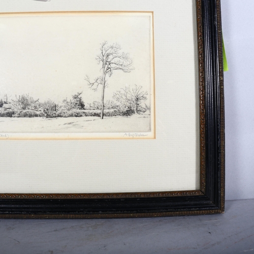 436 - Alfred Hugh Fisher, ash tree near Winchester where Keats walked, etching, signed in pencil, plate 12... 