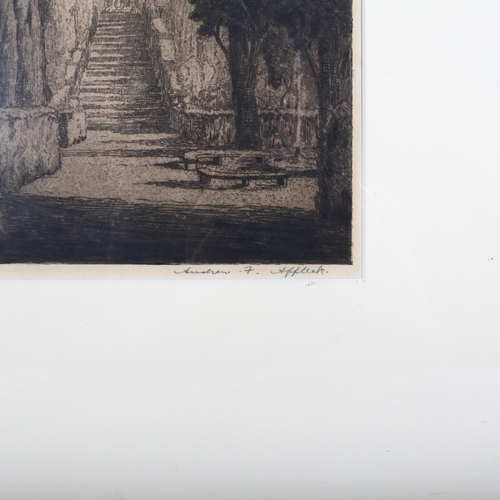 441 - Andrew Afflick, An Italian Garden, etching, signed in pencil, plate 44cm x 27cm, framed