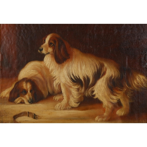 477 - Portrait of 2 King Charles Spaniels, oil on canvas laid on board, 25cm x 37cm, framed and glazed