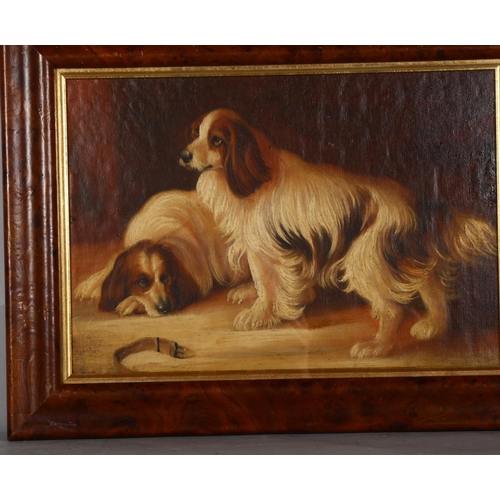 477 - Portrait of 2 King Charles Spaniels, oil on canvas laid on board, 25cm x 37cm, framed and glazed