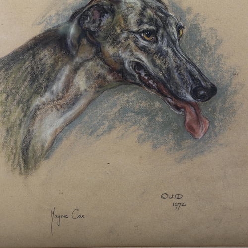 478 - Marjorie Cox, portrait of a Greyhound, 1972, charcoal/pastel on paper, 45cm x 44cm, framed