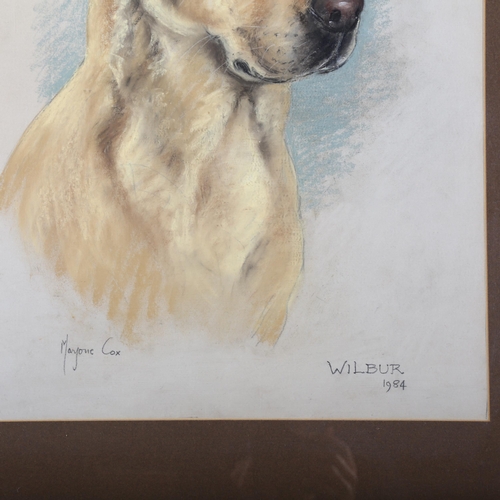 479 - Marjorie Cox, portrait of Labrador, Wilbur, 1984, crayon/pastel on paper, 53cm x 40cm, framed