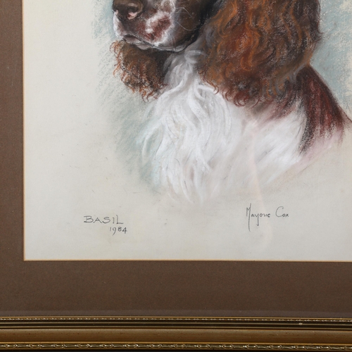 480 - Marjorie Cox, portrait of a Spaniel, Basil, 1984, crayon/pastel on paper, 53cm x 40cm, framed