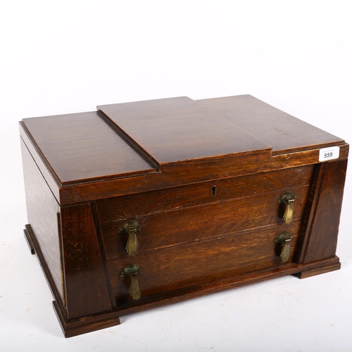 559 - An early 20th century oak table-top Wellington cutlery box with 2 fitted drawers