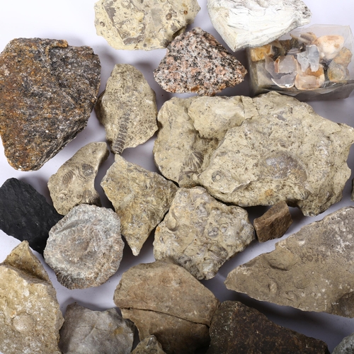 638 - Rock samples and minerals