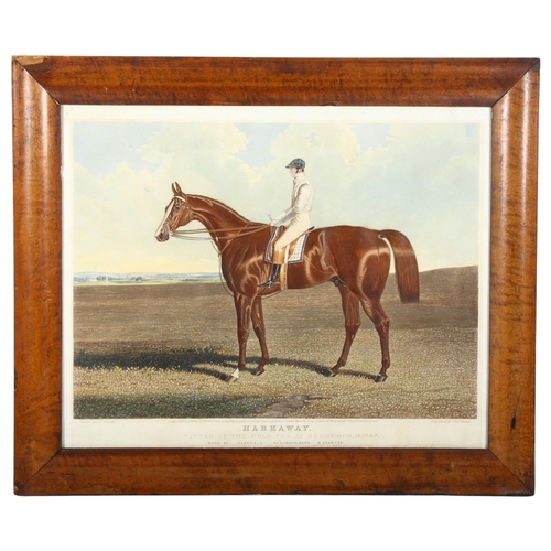 935 - A 19th century coloured engraving by Charles Hunt, 'Harkaway', period maple frame, glazed, overall 4... 