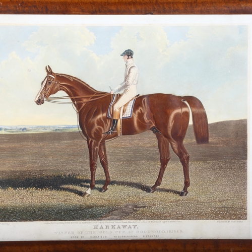 935 - A 19th century coloured engraving by Charles Hunt, 'Harkaway', period maple frame, glazed, overall 4... 