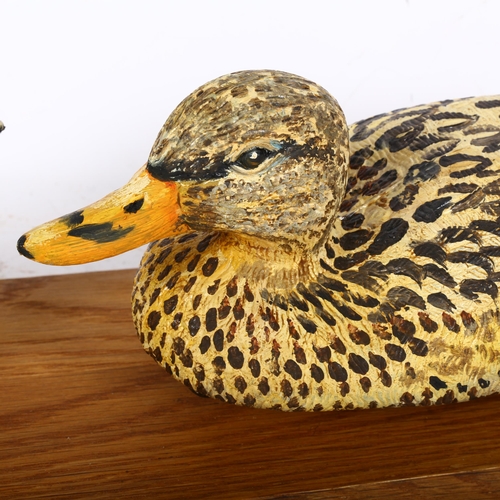 964 - 2 painted plastic decoy ducks on stand, stand length 67cm