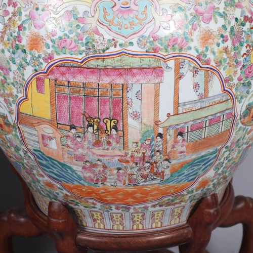 49 - A massive pair of Chinese famille rose porcelain fish bowls, with enamel decoration inside and out, ... 