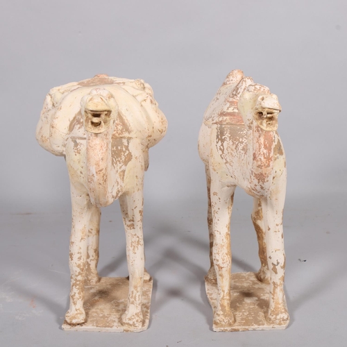 62 - A pair of Chinese Tang style pottery camels, height 45cm