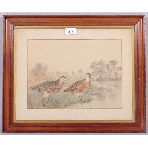 418 - Frank Southgate (1872 - 1916), wading birds, watercolour on paper, 31cm x 22cm, signed, framed