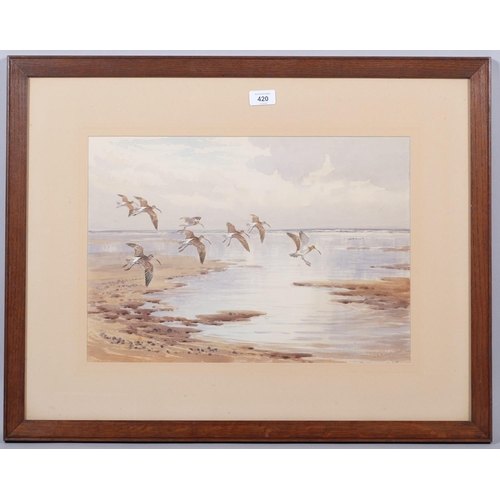 420 - John Cyril Harrison (1898 - 1985), curlew in flight, watercolour/gouache, signed, 47cm x 33cm, frame... 