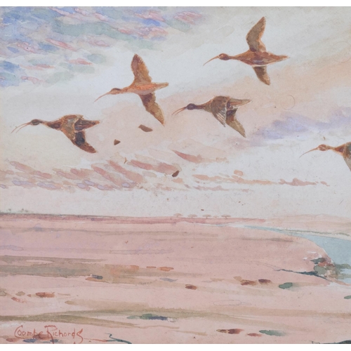 458A - 2 x 20th century watercolours of birds in flight, by Coombe Richards, together with another similar ... 