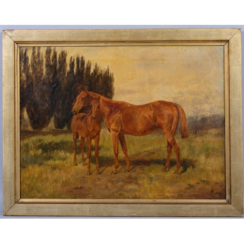 508 - Early 20th century portrait of mare with foal, oil on canvas, artist's monogram/06, 60cm x 45cm, fra... 